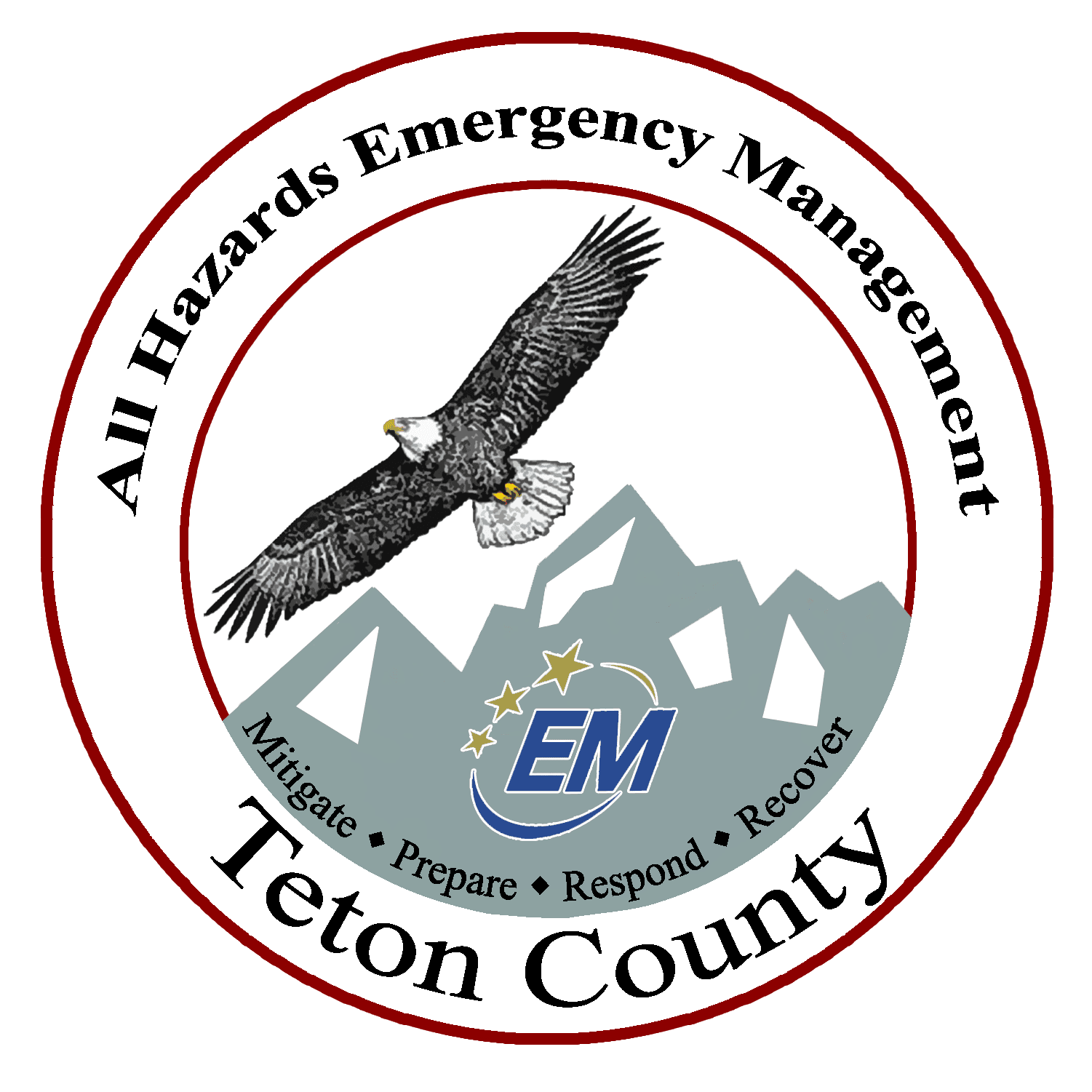 logo emergency management