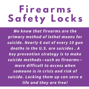 Firearms Safety Locks (4)