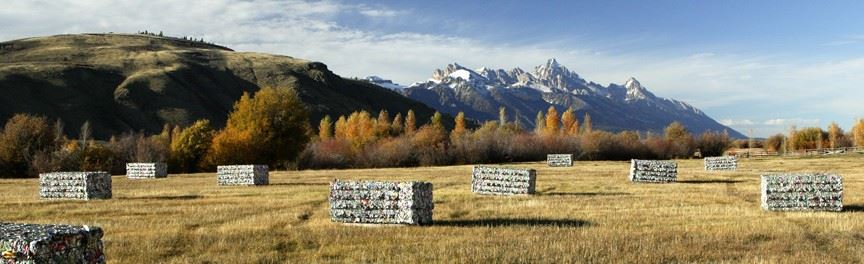 teton bales 1